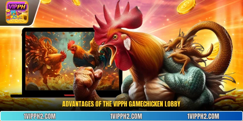 Advantages of the Vipph Gamechicken lobby