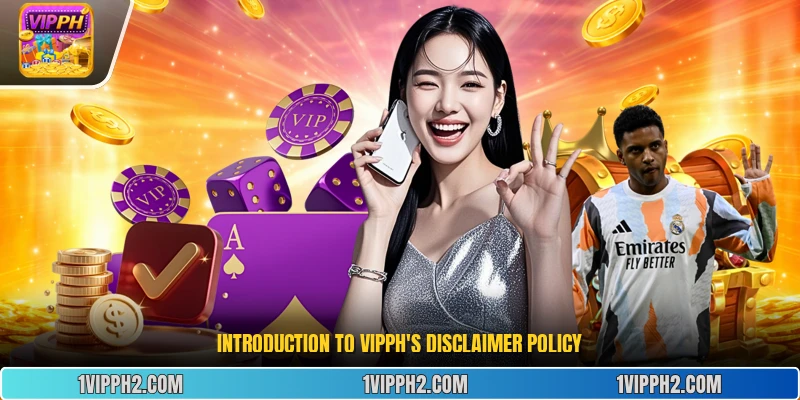 Introduction to Vipph's Disclaimer Policy
