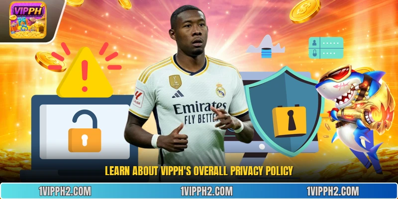 Learn about Vipph's overall privacy policy.