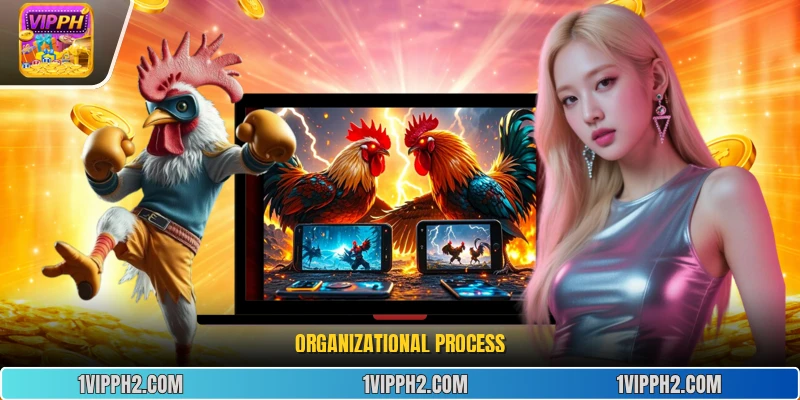 Organizational process