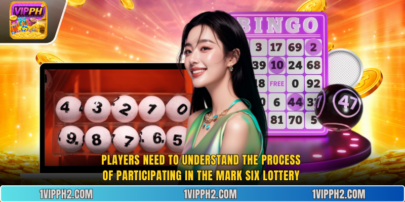 Players need to understand the process of participating in the  Mark Six lottery .