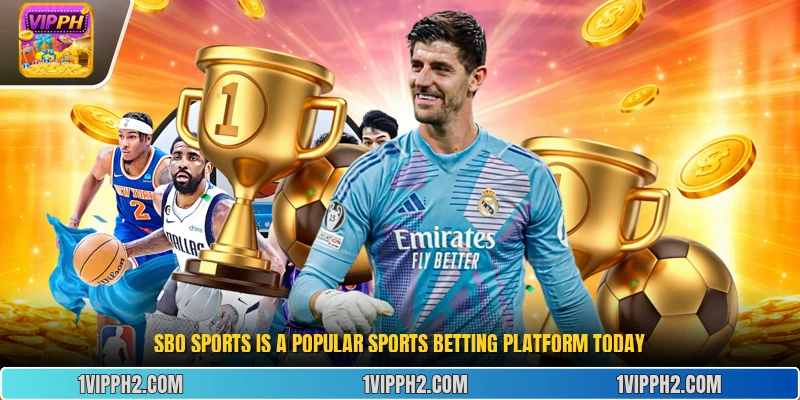 Sbo Sports is a popular sports betting platform today.